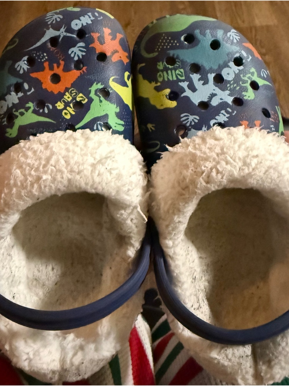 Kids Navy Dino Print Fuzzy-Lined Clogs